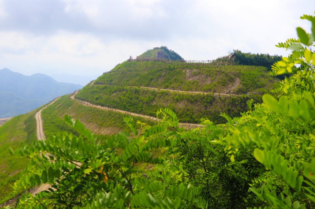 陜鋼集團(tuán)貫徹落實(shí)“八個(gè)聚焦”“四個(gè)著力”見(jiàn)行動(dòng)——鞏固“穩(wěn)”的基礎(chǔ) 積蓄“進(jìn)”的力量